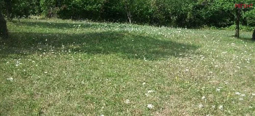 Парцел-Петкова нива-3200м²