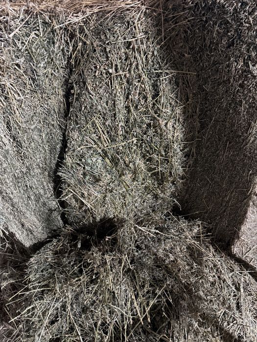 Baloti lucerna coasa a 3a