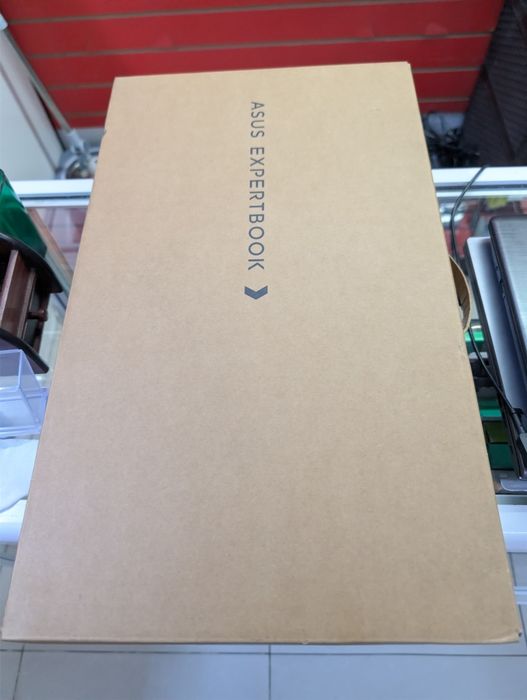 Asus Expertbook P1