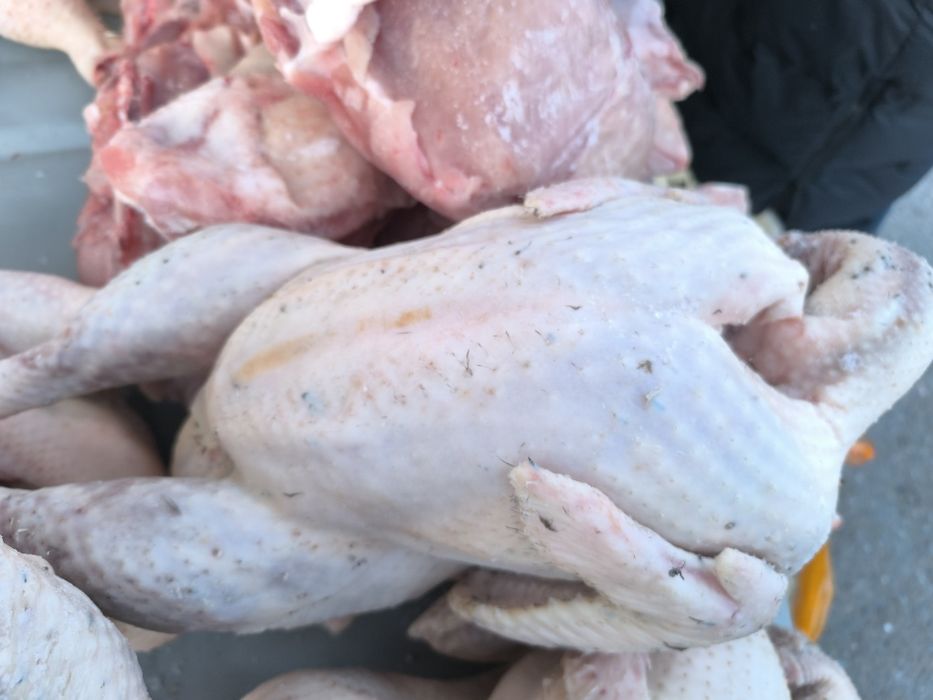 Индюки домашные, очень вкусные