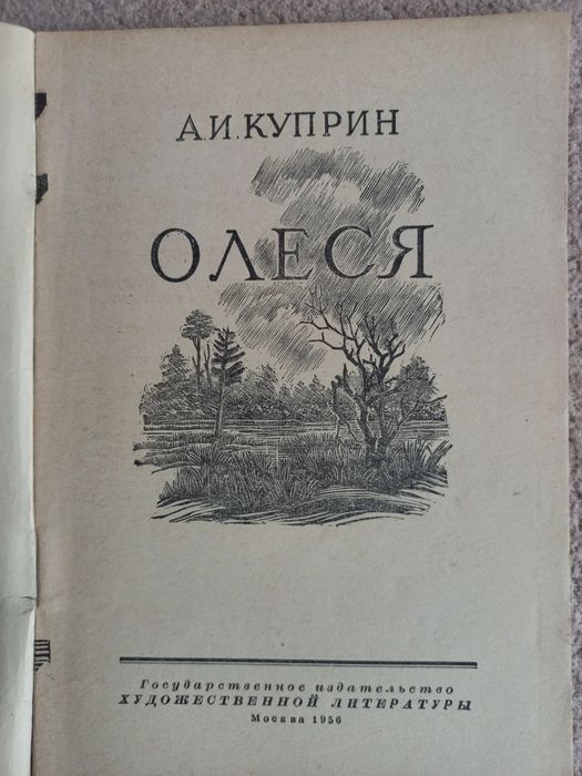 Букинистическая литература