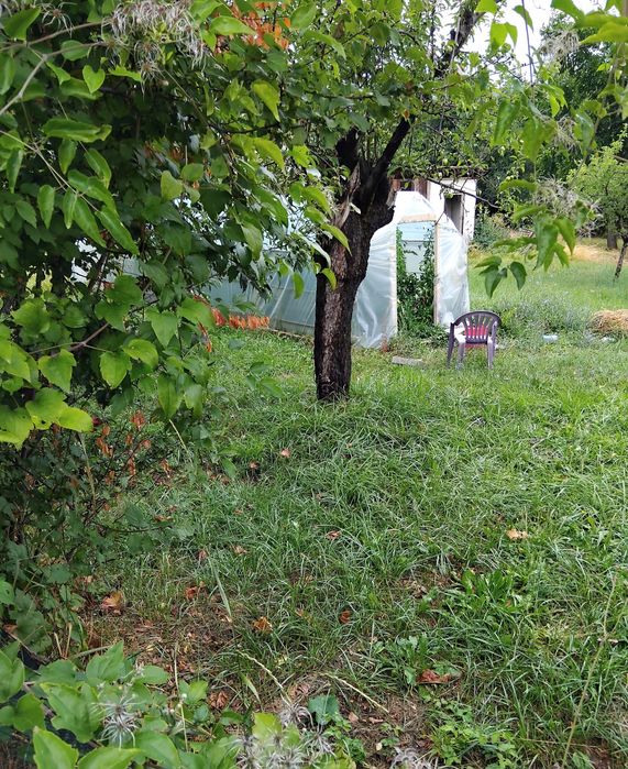 Продава се Къща в с. Жиленци, Област Кюстендил - 172 кв.м за 320 €/кв.м - Снимка #4