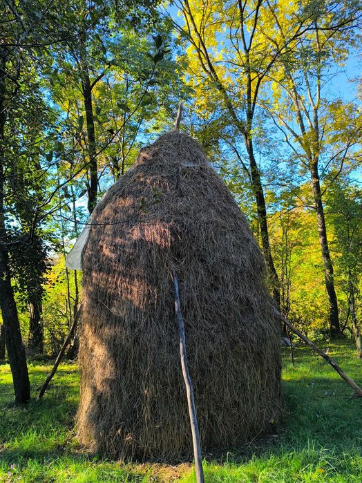 Vind fin calitate 2025