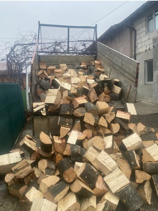 Lemne de foc esență tare