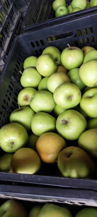 Продам яблоки золотой