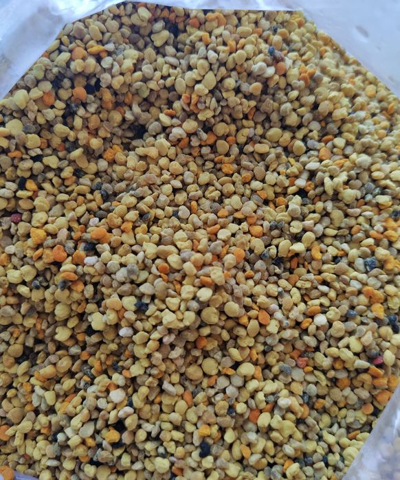 Пчелен полен 2025 г.