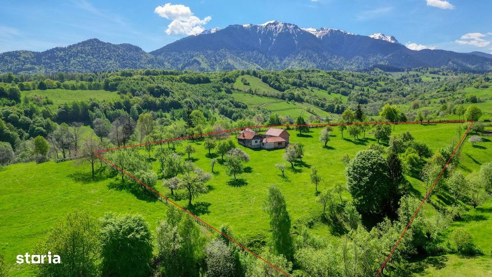 Teren intravilan 15.856 mp in Bran Sohodol, priveliste si relaxare