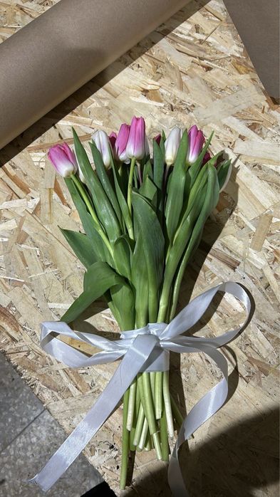 Тюльпан отборный крупный