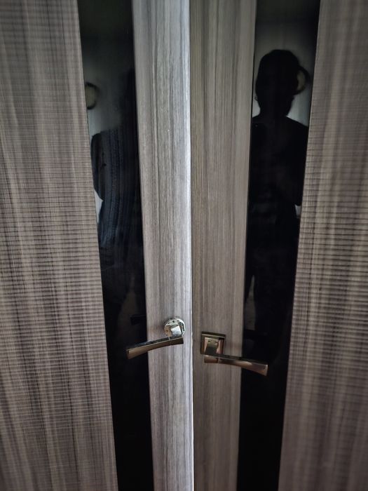 Дверь двухсторчатый и одна дверь