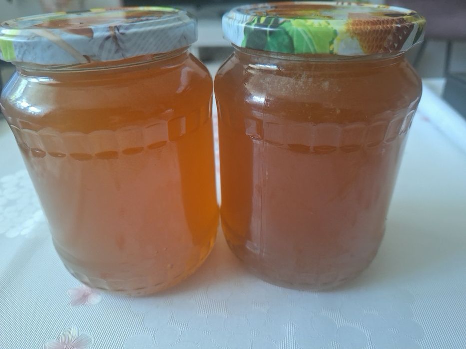 Miere pomi fructiferi