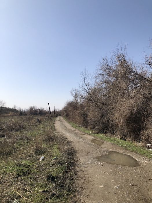 Фазенда Сатылады Откорм Баз