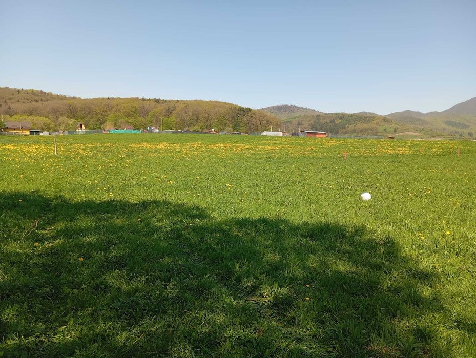 Teren 1.000 mp Cabană, Casă de Vacanță – Vulcan, lângă Brașov