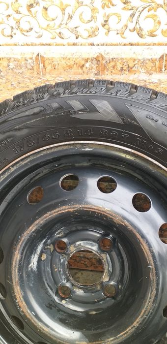 Шына шыповы зимний