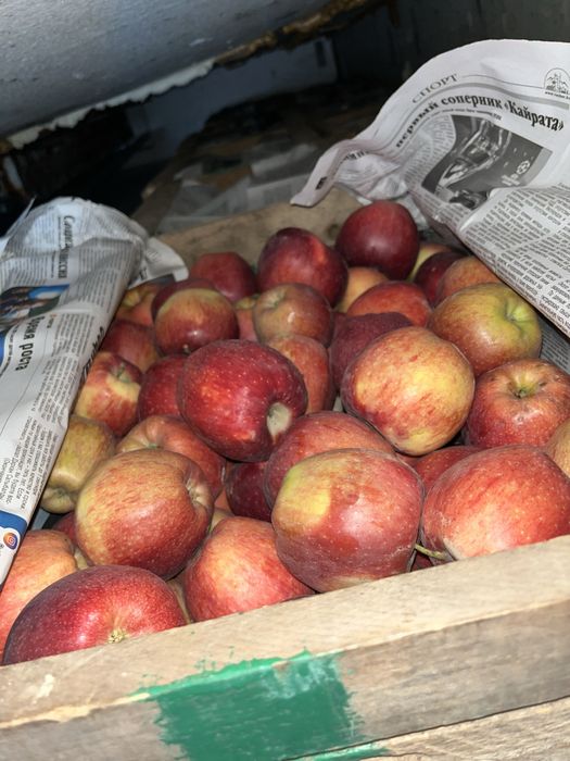 Продам Яблоки Американка 1 сорт