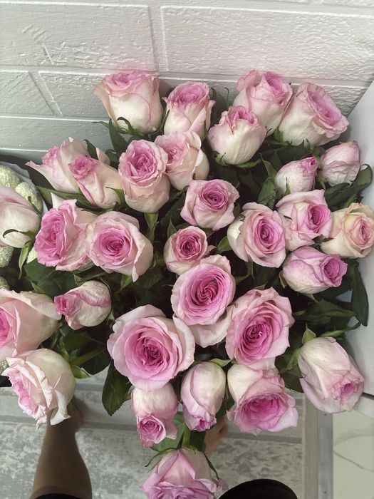 нежно-розовые розы 30 штук 10к