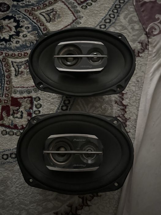 Pioneer chempion kalonka
