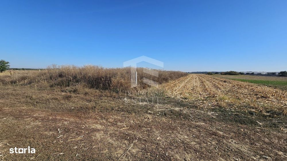 Copăceni - Ilfov - Teren intravilan arabil de vânzare - 1.148 mp