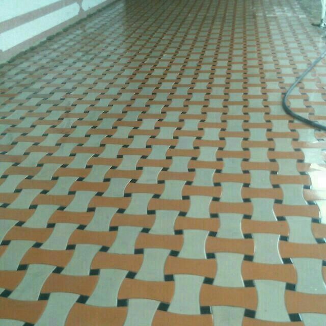 Сифатли бурсчатки