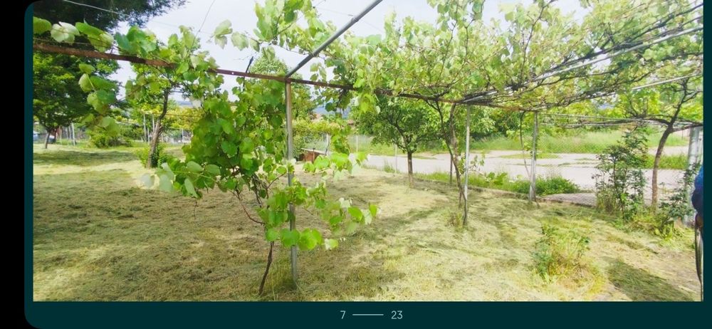 Къща с двор в с. Чуковец, обл. Перник