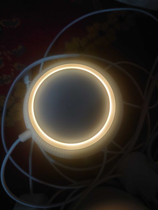 Google nestpoint
