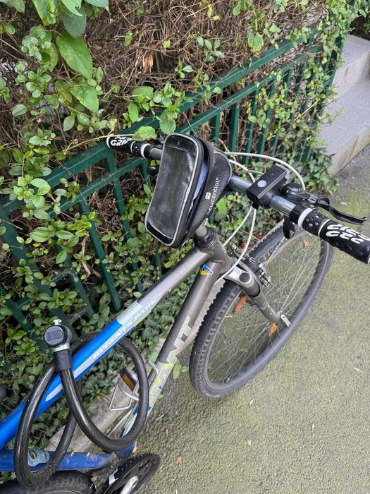 Hope Amanet P12 - Bicicleta Giant