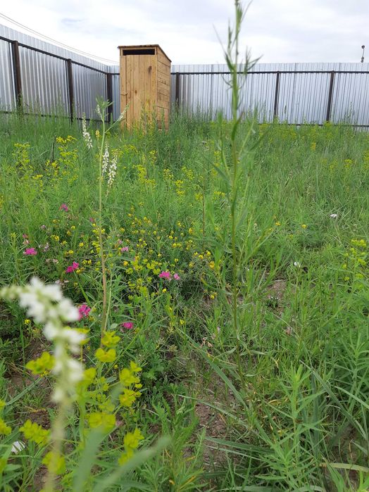 Участок земли в городе