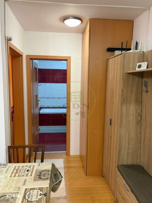 Apartament 2 camere de inchiriat-Zona Doamna Stanca