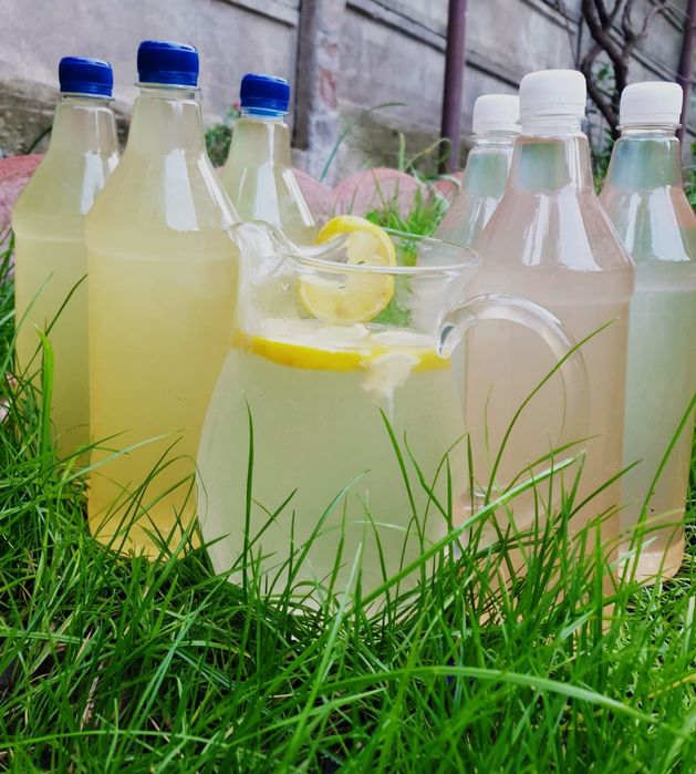 Sirop soc socata  foarte bun aromat si concentrat 30 lei litru