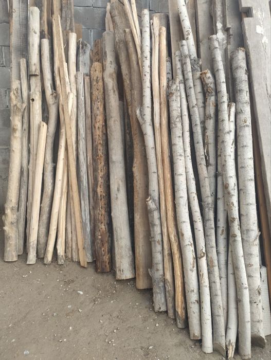 Ром эшик. Утинлар