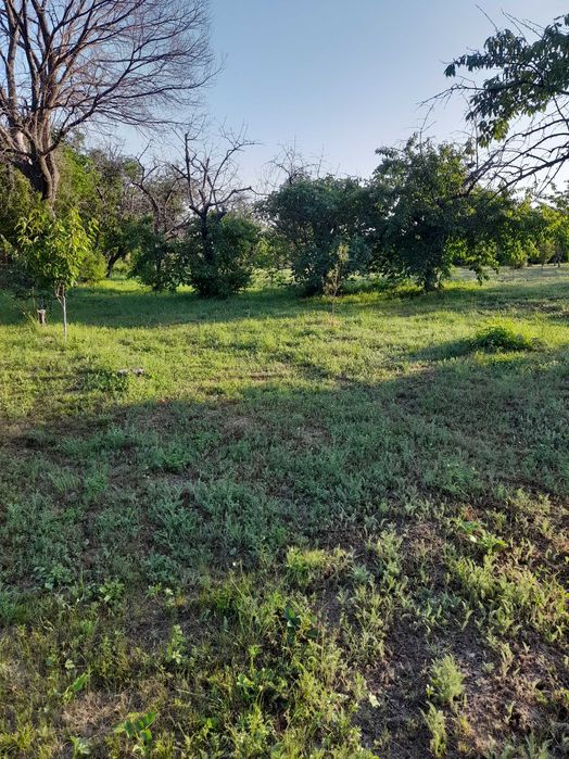 Продава се Парцел в София, Лозенец - 2527 кв.м за 16 €/кв.м - Снимка #7