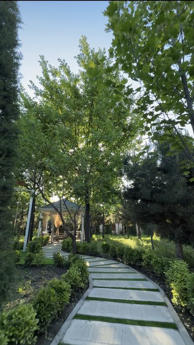 Dacha Archazone  Samarqanda yangi ochilgan