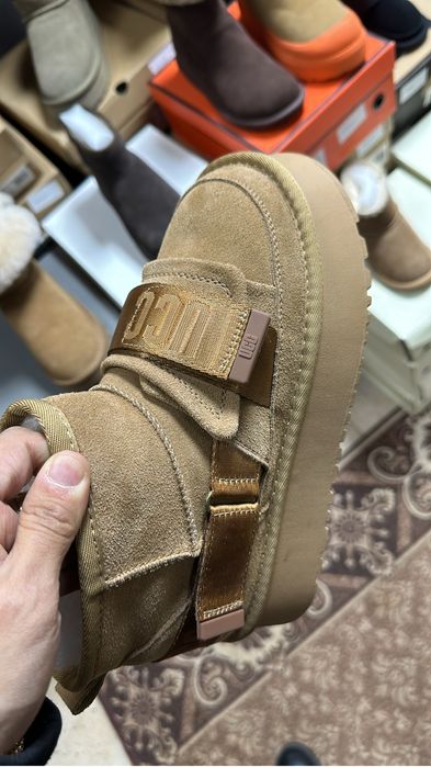 Угги натуралка UGG овчина