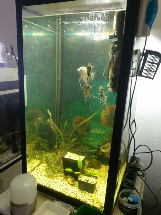 Продам аквариум 190 литров стекло 10мм