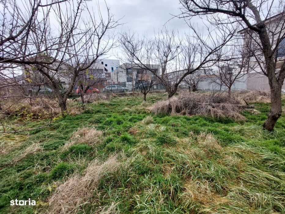Teren 1110Mp  |  Kamsas  |  Constanta