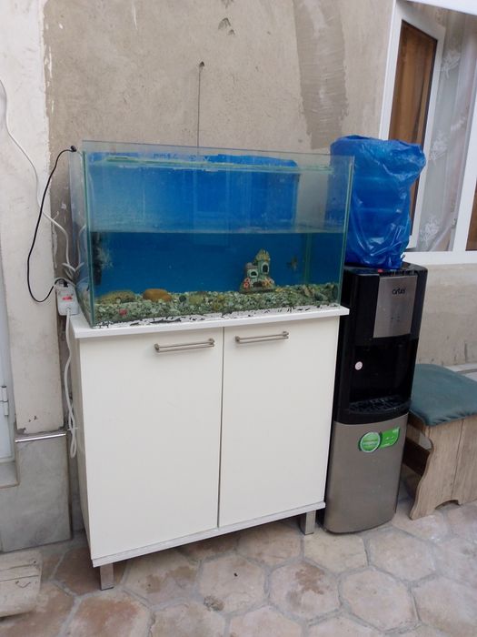 Akvarium sotiladi