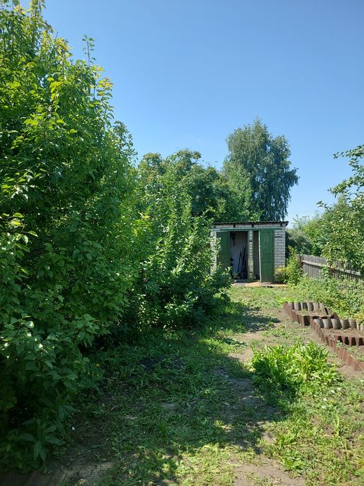 Дача ,Ромашка по мамлютской трассе