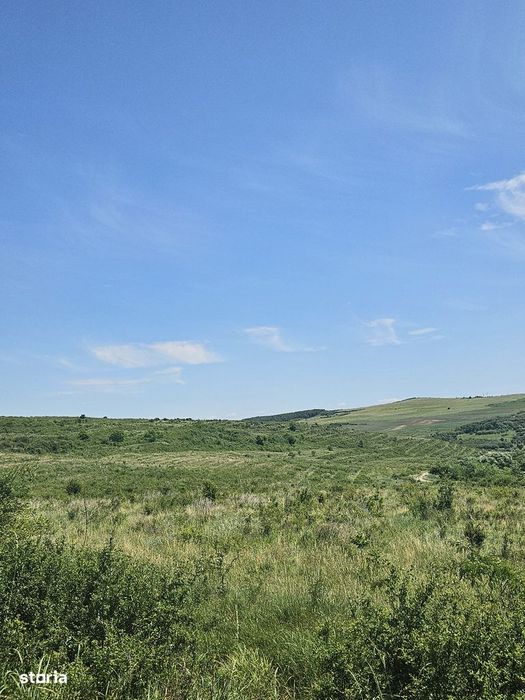 Vand livada nuci Nasal, Taga. Jud Cluj