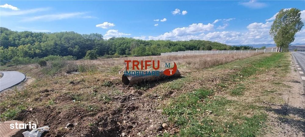 Teren intravilan 2100 mp de vanzare in Teleac la asfalt cu toate utili