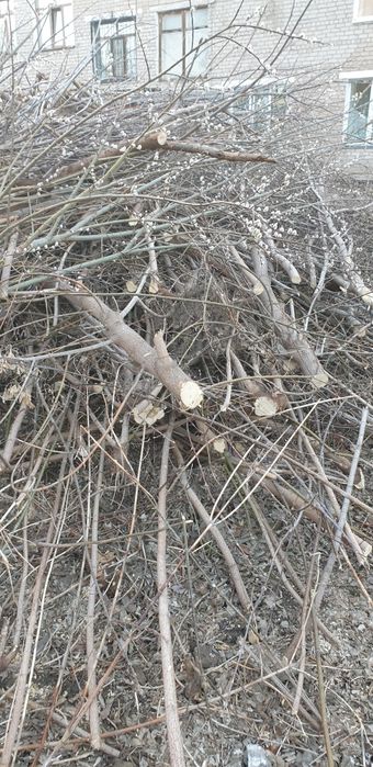 Отдам даром на дрова.