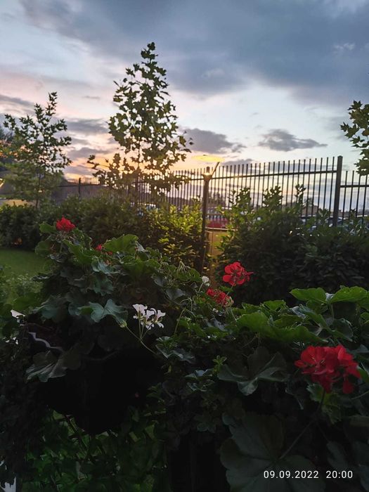 Продава се Едностаен апартамент в Белово - 50 кв.м за 2572 €/кв.м - Снимка #3