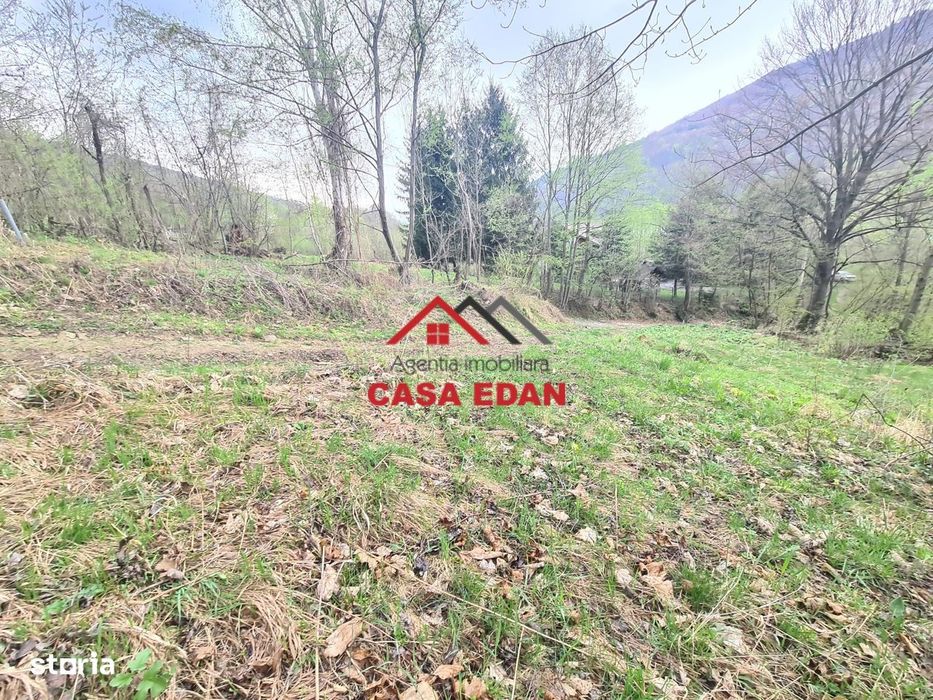 Teren intravilan in Valea Doftanei - Parajul Paltinu--1000 mp--120e