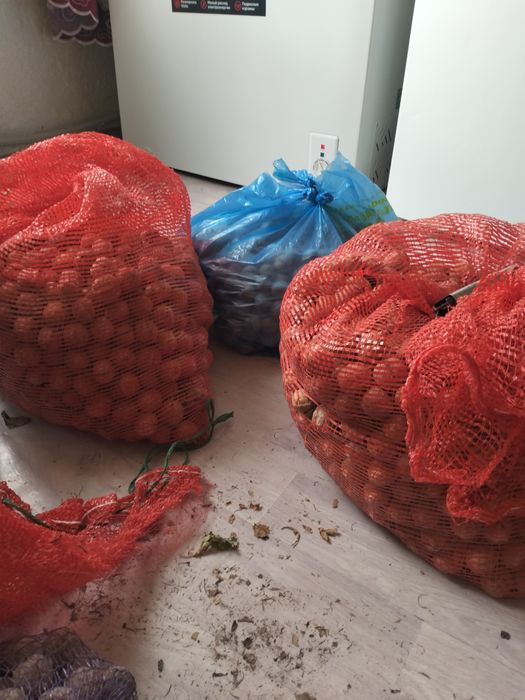 Жаңғақ 1000т срочноооо