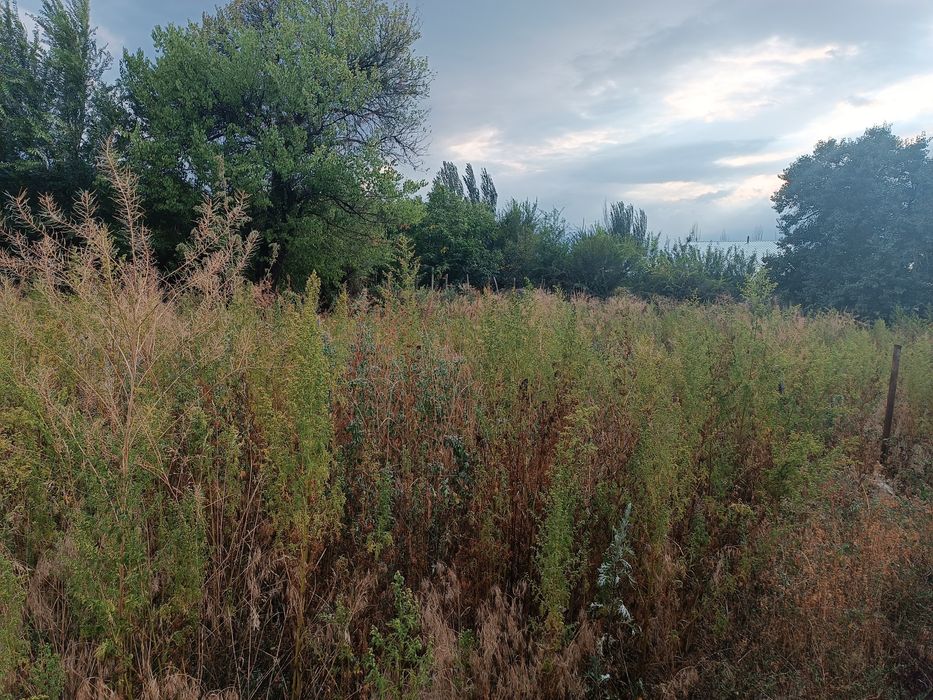 Продам дом свет асвальт