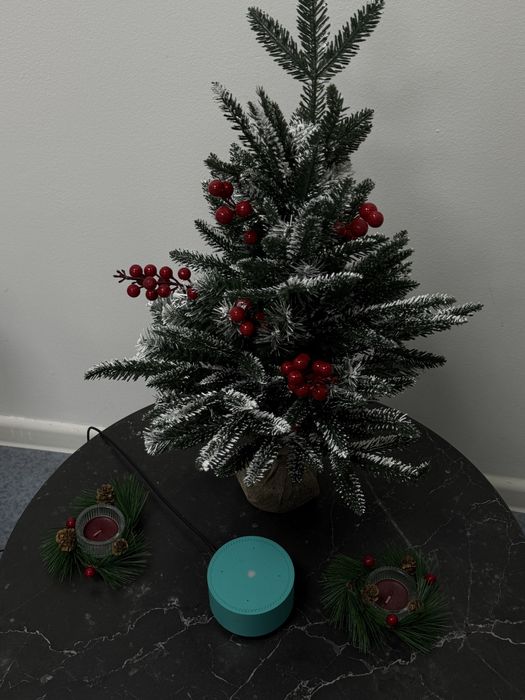 Сдаю кушетки в центре города