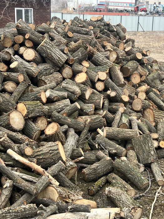 Дрова карагач. Колотые и цельные