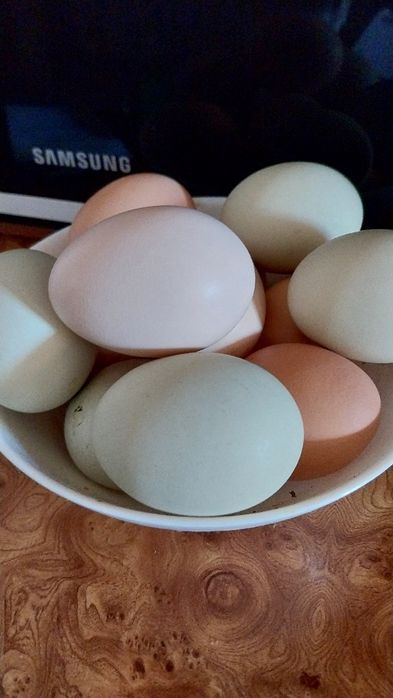 Vand ouă proaspete de țară