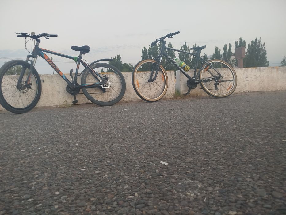 Trinx хороший вел