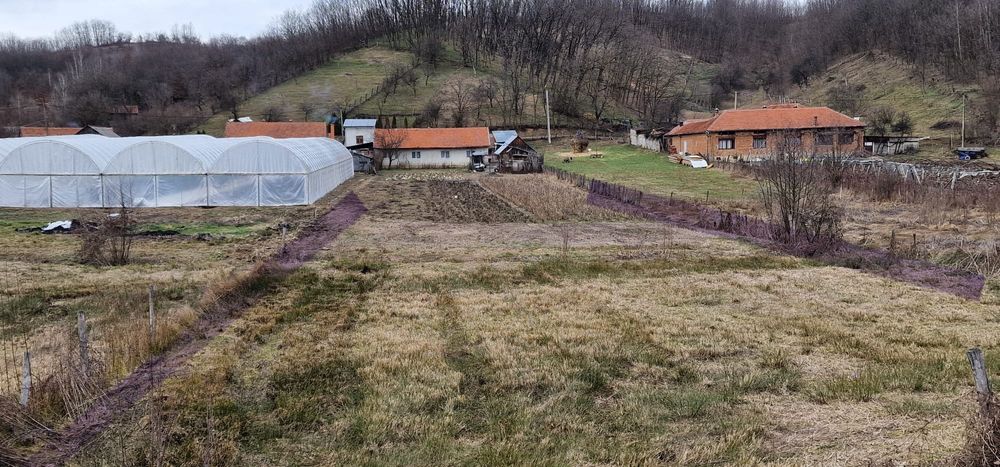 Casa de vânzare Cornutel Banat