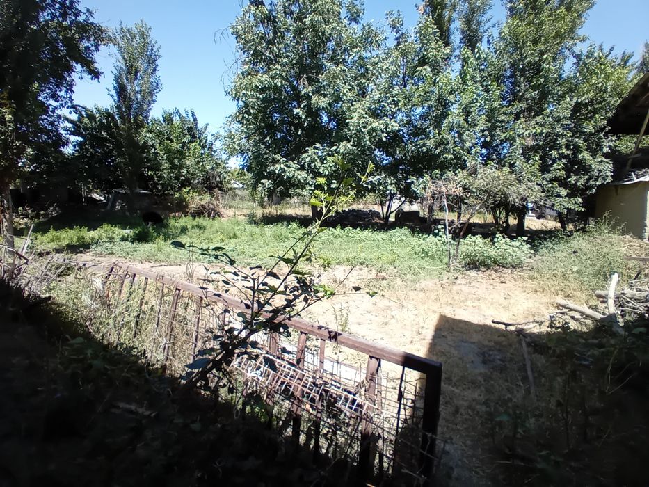 Земля продаётся в таш тогизак