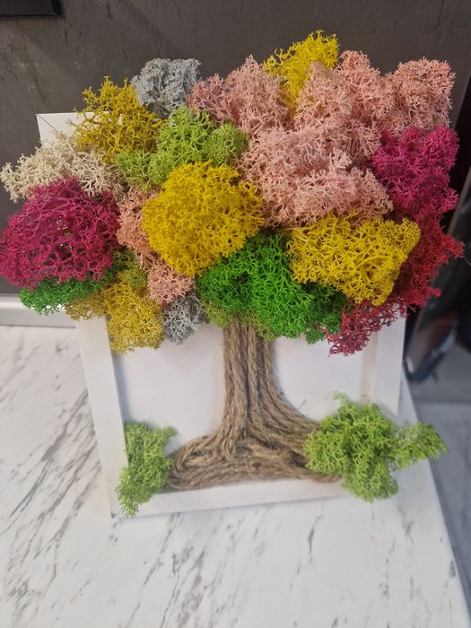 Дизайнерски картини от скандинавски мъх